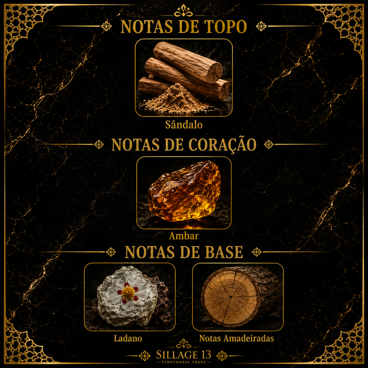 Rayhaan Nocturno Elixir