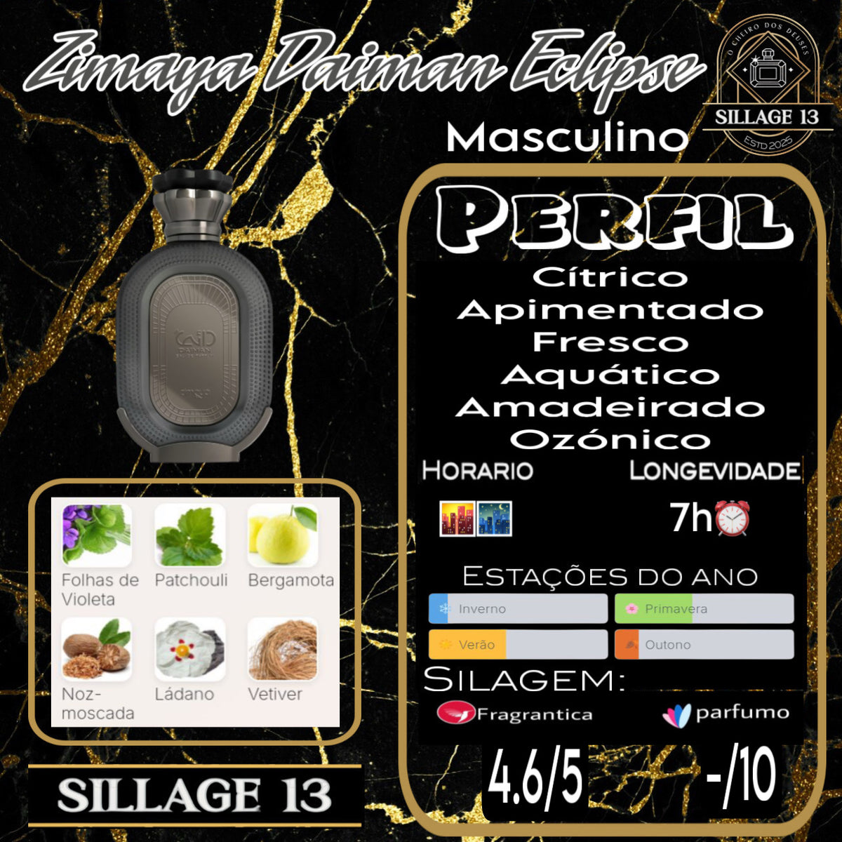 Zimaya Daiman Eclipse